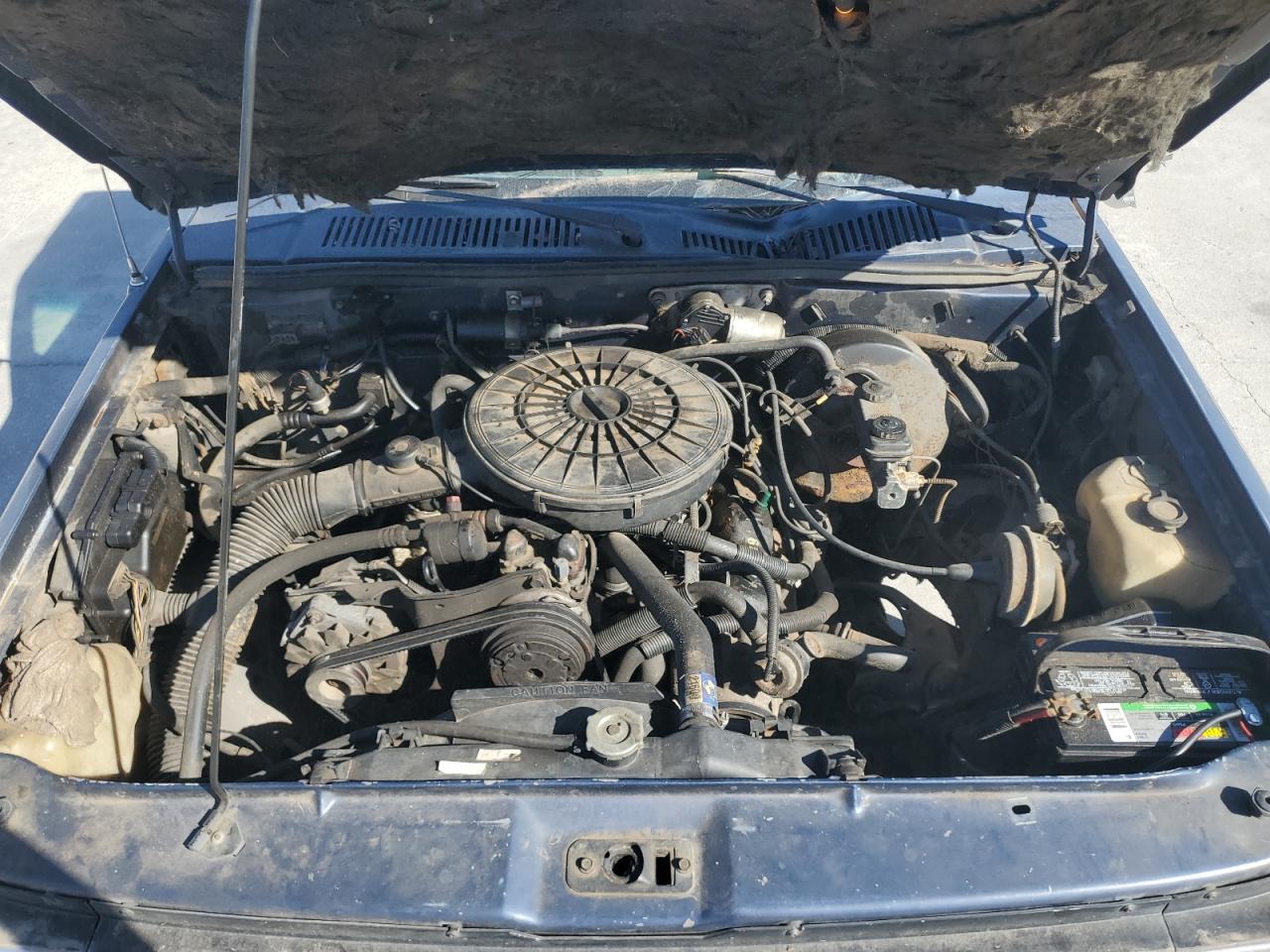 Lot #3286525180 1988 DODGE DAKOTA