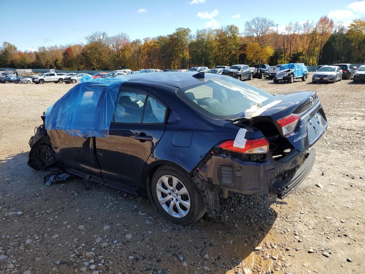 Global Auto Auctions