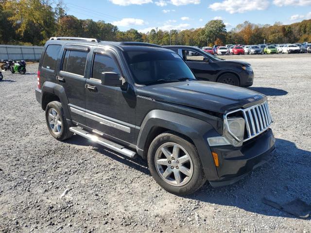 2010 JEEP LIBERTY LI - 1J4PP5GK3AW112153