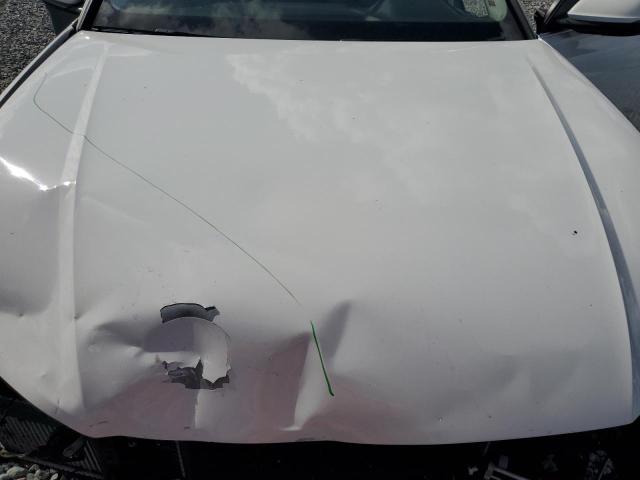 2019 AUDI Q8 PREMIUM WA1AVAF1XKD021472