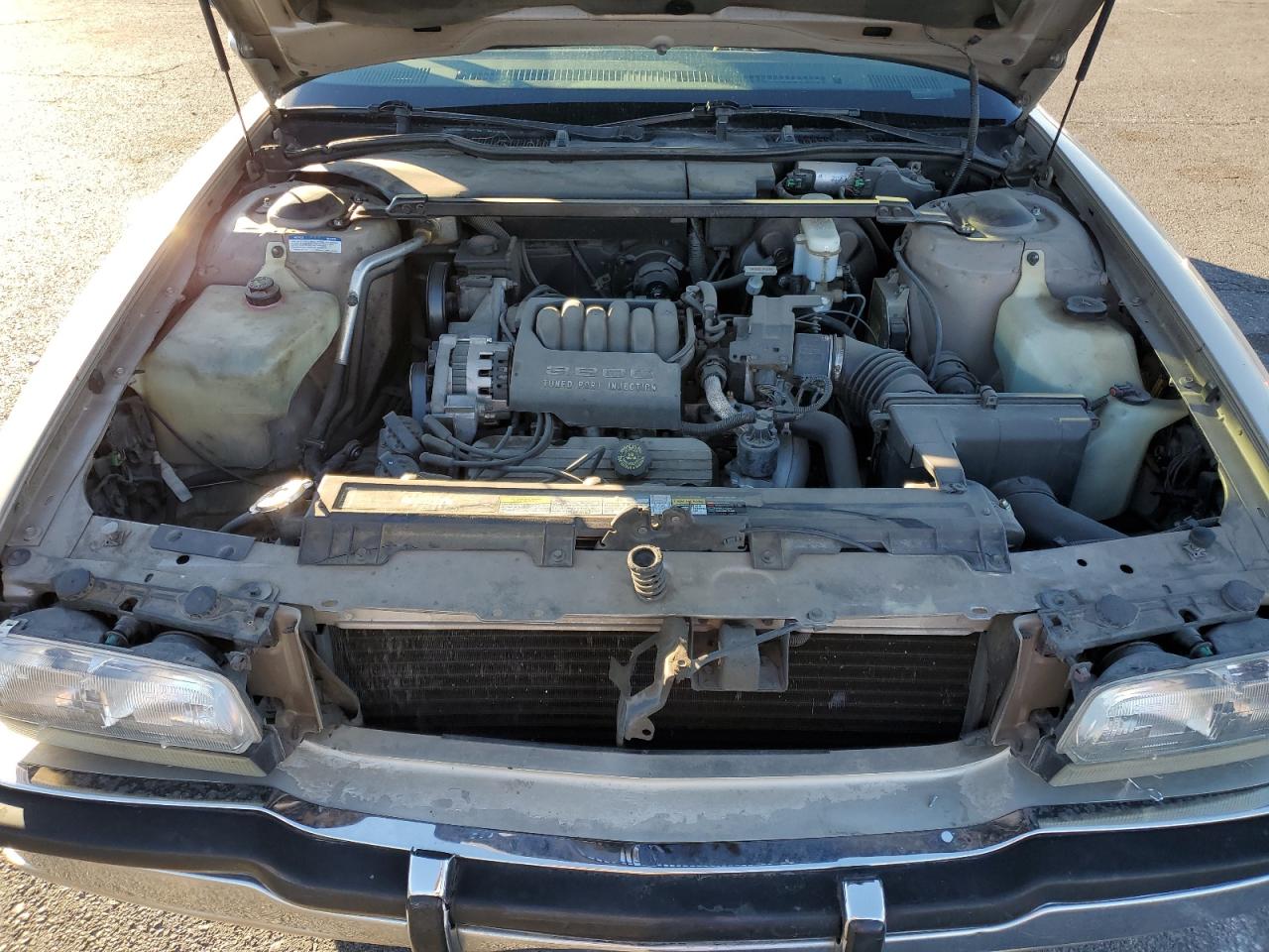 Lot #3287844106 1994 BUICK PARK AVENU