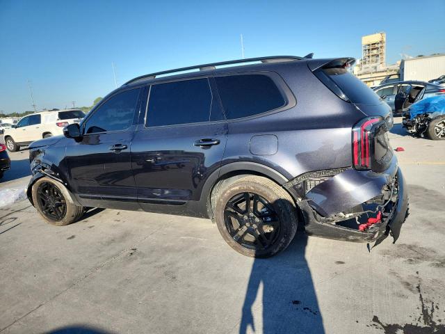 2025 KIA TELLURIDE #3316093276