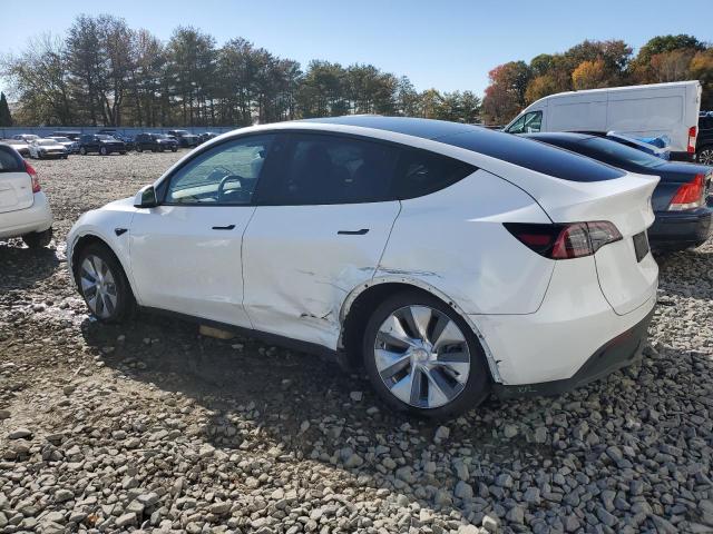2023 TESLA MODEL Y - 7SAYGDEE1PA098588