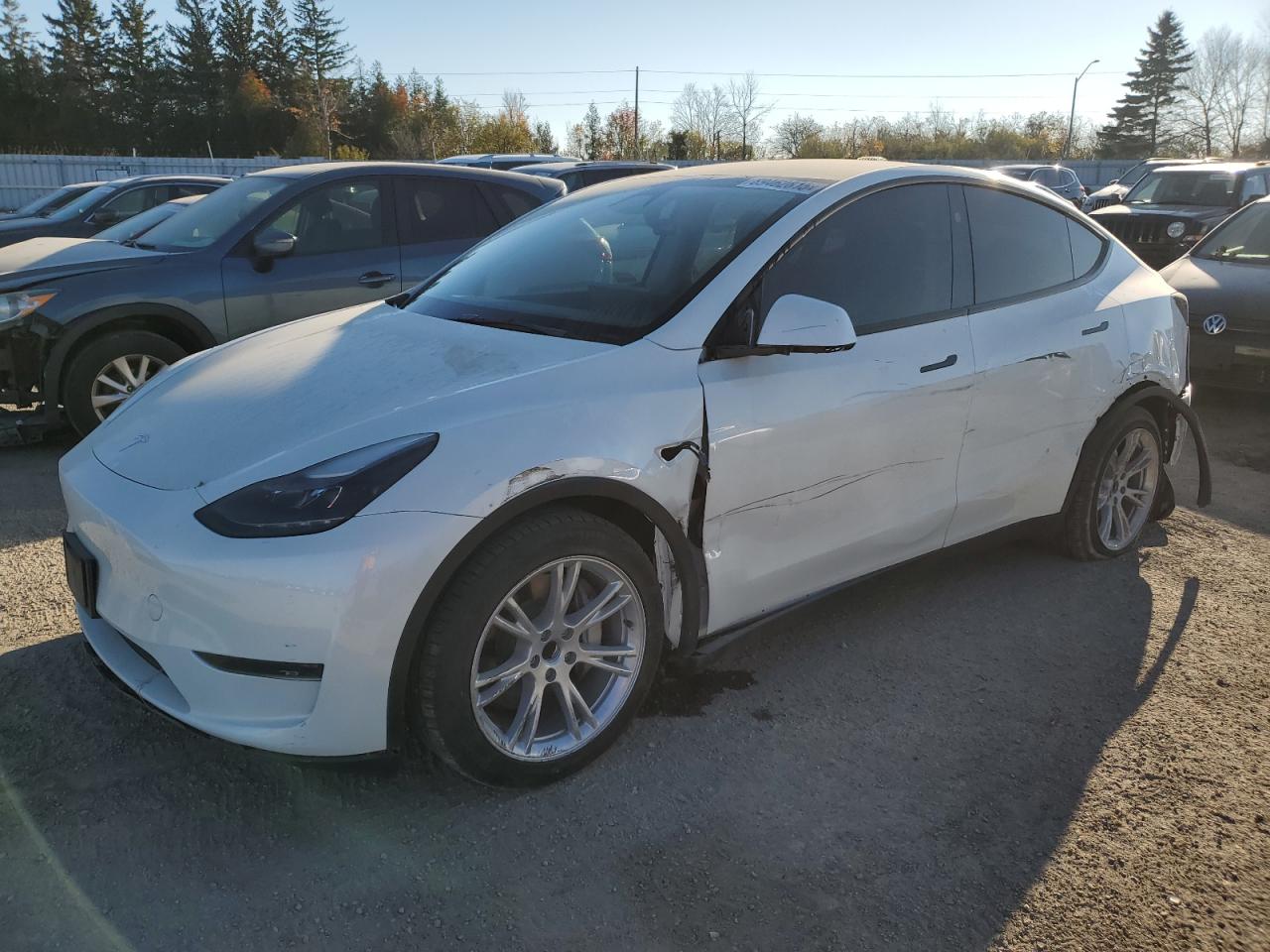 TESLA MODEL Y