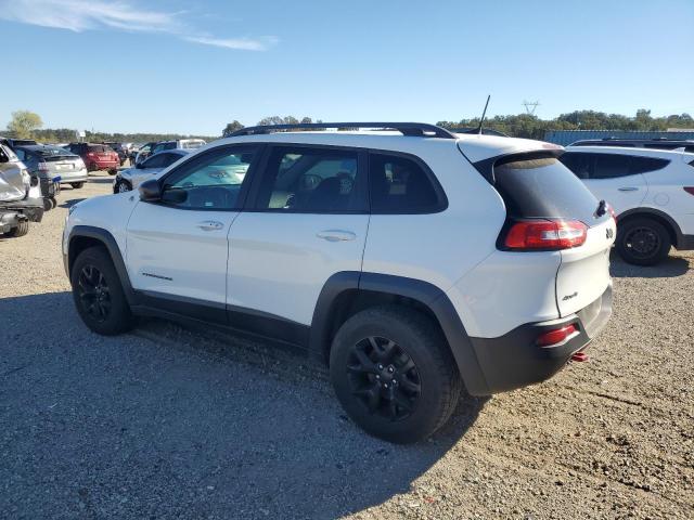 2017 JEEP CHEROKEE TRAILHAWK - 1C4PJMBS8HW538469