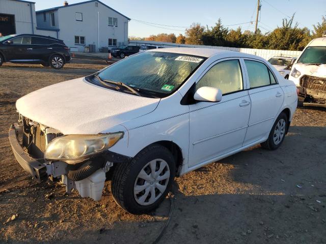 Global Auto Auctions: 2009 TOYOTA COROLLA BA