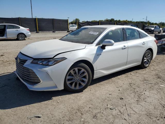 Global Auto Auctions: 2019 TOYOTA AVALON XLE