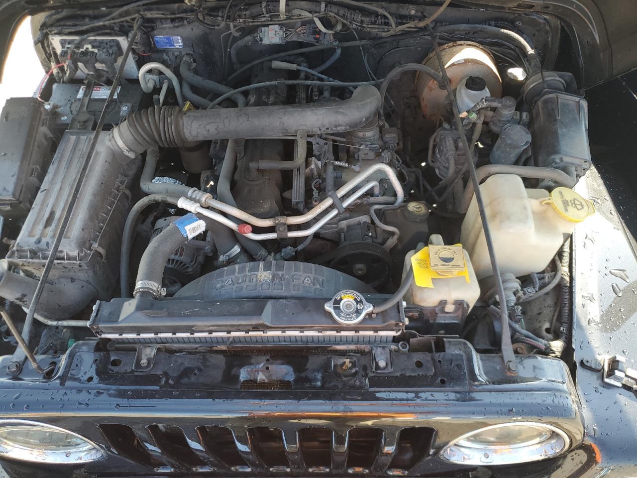 Lot #3302823917 2001 JEEP WRANGLER /