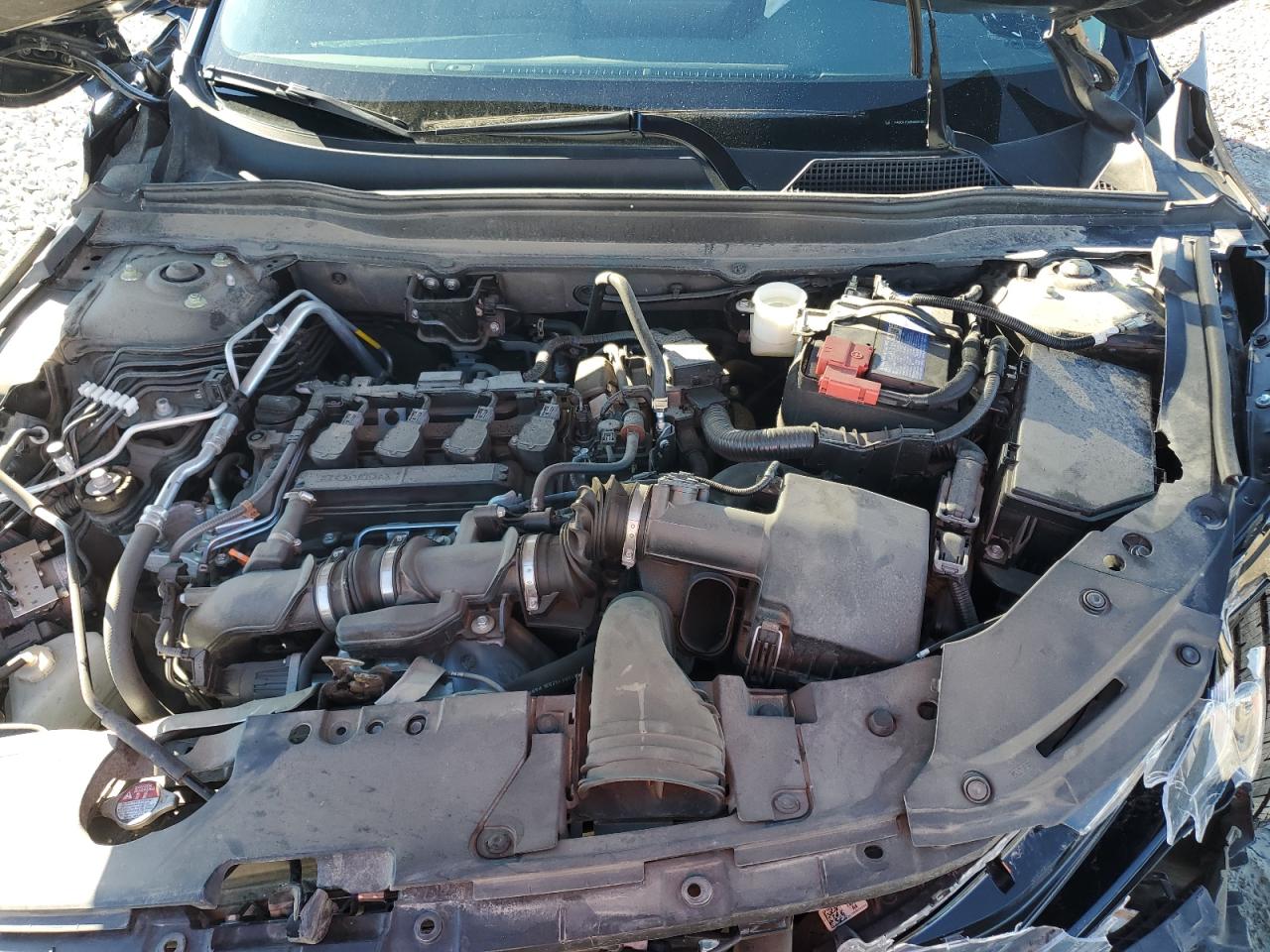 HONDA ACCORD SPORT SE