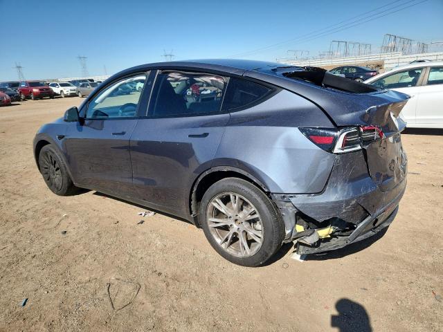 2023 TESLA MODEL Y #3303682934