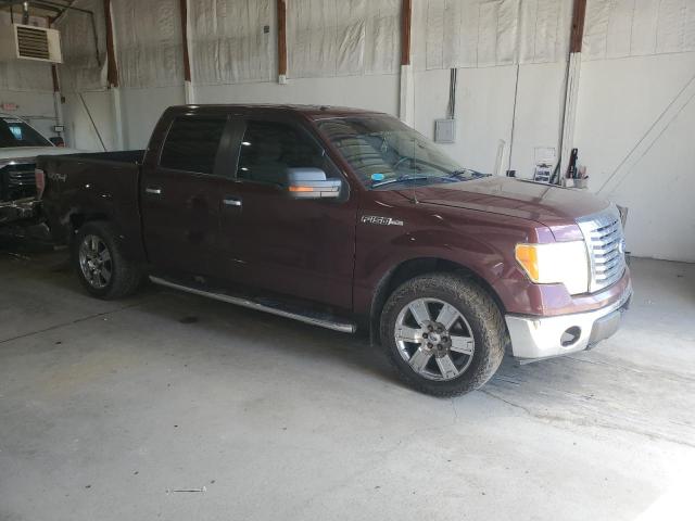 2010 FORD F150 SUPER #3286567190
