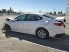 Lot #3303002619 2025 TOYOTA CAMRY XSE