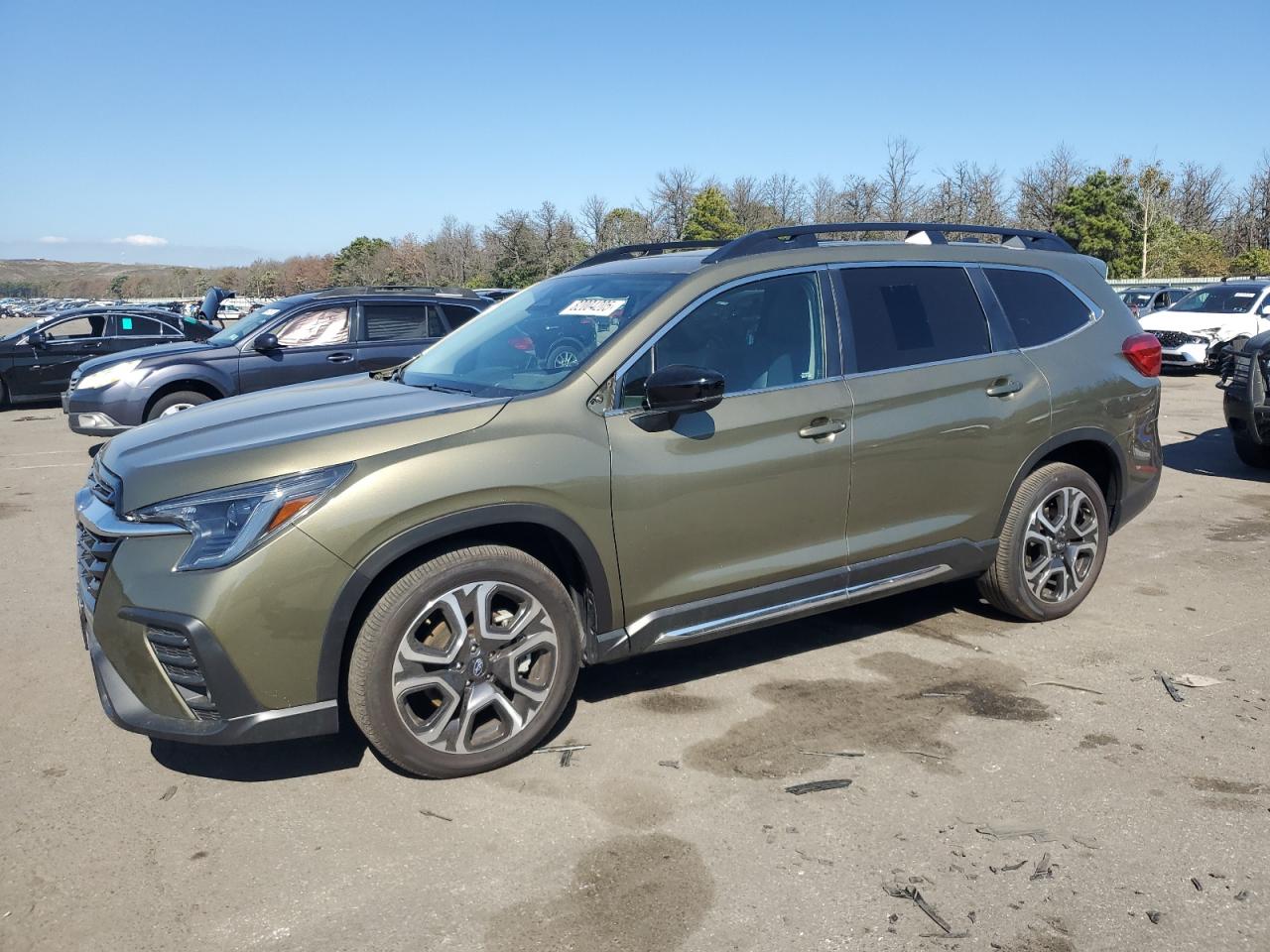 SUBARU ASCENT LIMITED