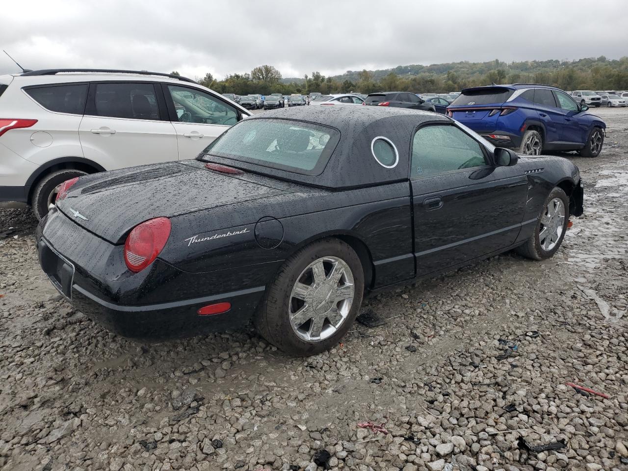 Lot #3285645275 2002 FORD THUNDERBIR