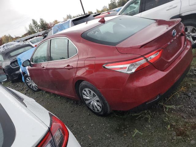 2019 TOYOTA CAMRY LE - 4T1B31HK9KU510978