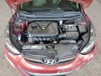 Lot #3296417654 2013 HYUNDAI ELANTRA GL