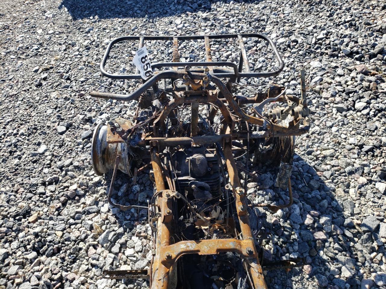 Lot #3281419987 1988 YAMAHA 350 TERRA PRO