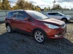 Lot #3316931076 2015 FORD ESCAPE TIT