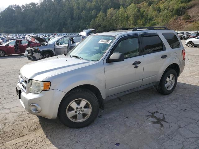 Global Auto Auctions: 2009 FORD ESCAPE
