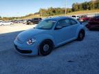 Lot #3294529544 2015 VOLKSWAGEN BEETLE 1.8
