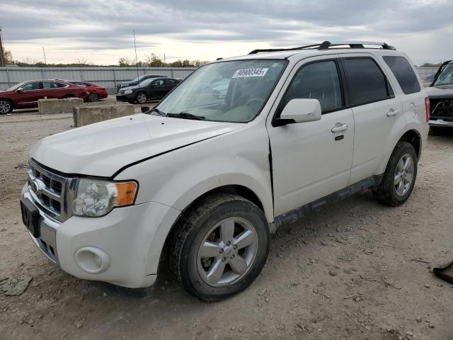 2010 FORD ESCAPE LIM - 1FMCU0E77AKC45080