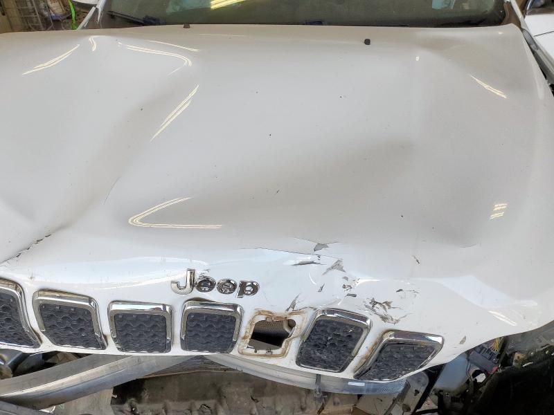 2019 JEEP CHEROKEE L 1C4PJMLXXKD365163