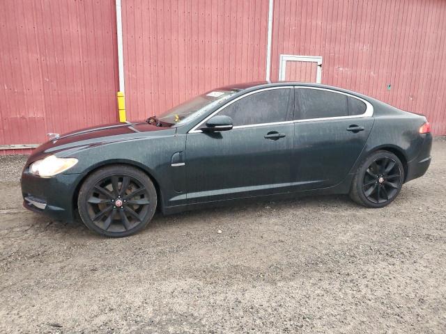 JAGUAR XF PREMIUM
