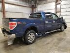 Lot #3312532609 2013 FORD F150 SUPER