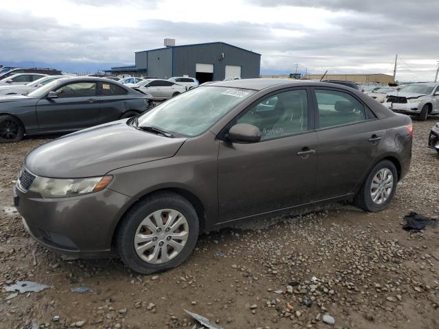 2013 KIA FORTE EX - KNAFU4A27D5736221