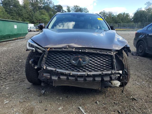 2019 INFINITI QX50 ESSEN #3286659307