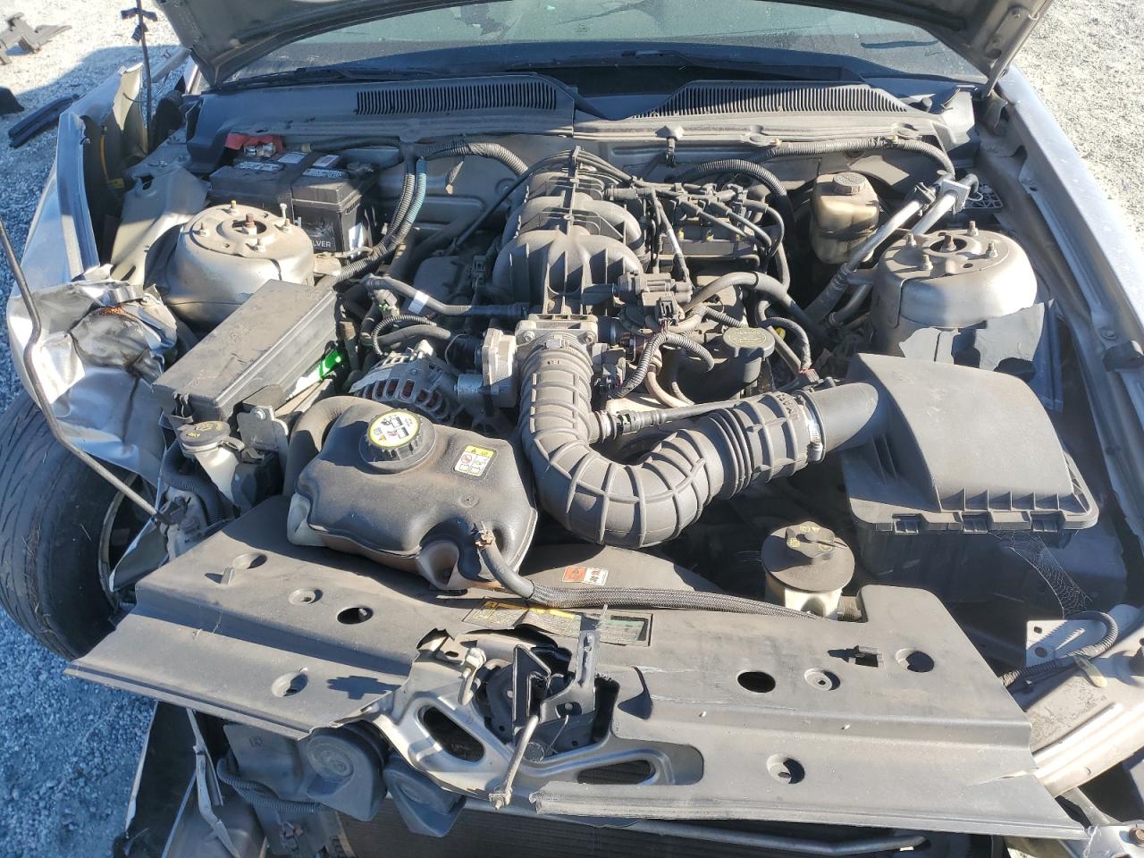 Lot #3278635951 2008 FORD MUSTANG