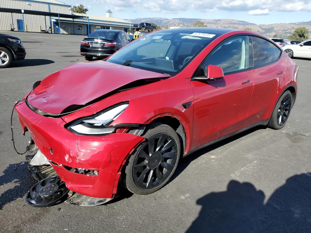 TESLA MODEL Y