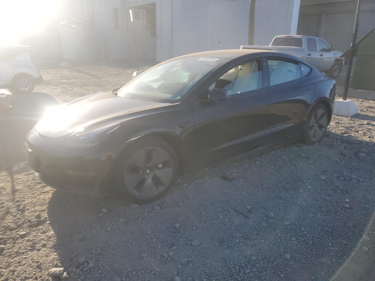 Lot #3302748038 2021 TESLA MODEL 3