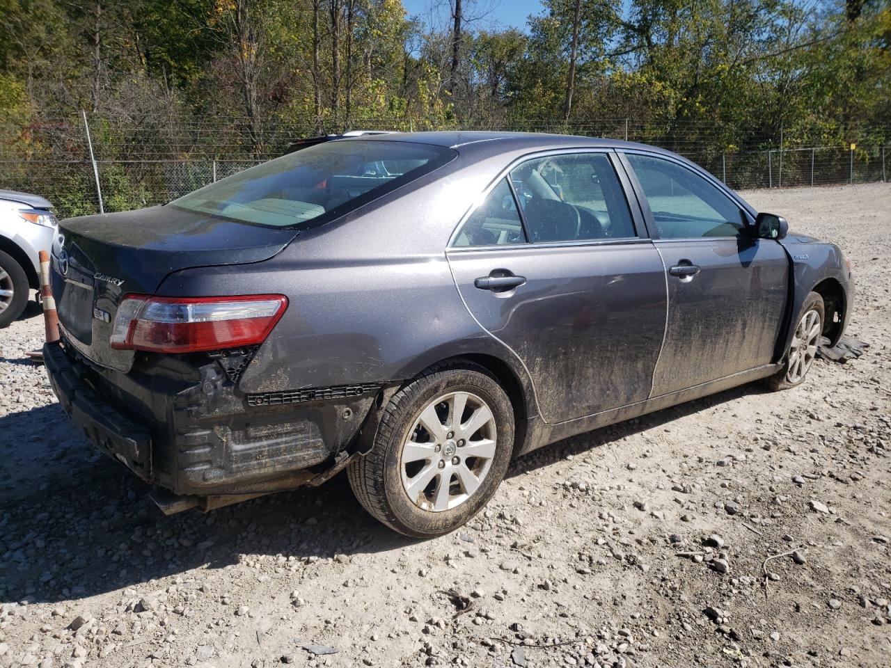 Lot #3302707010 2009 TOYOTA CAMRY HYBR
