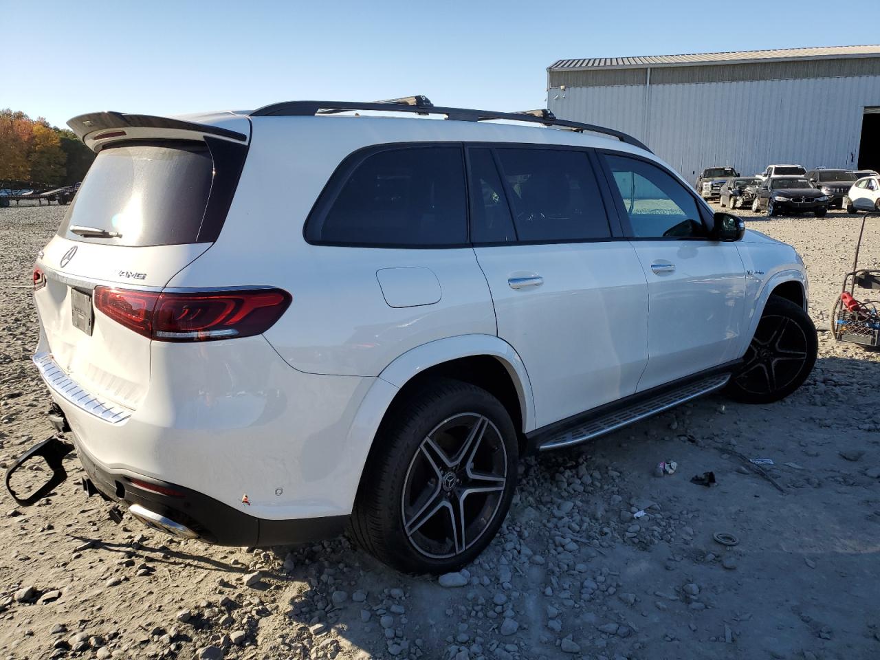 MERCEDES-BENZ GLS-CLASS 580 4MATIC