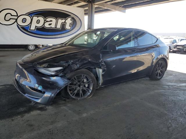 2025 TESLA MODEL Y #3302631088