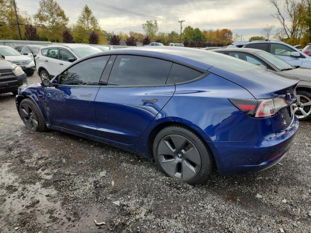 2023 TESLA MODEL 3 #3303723434