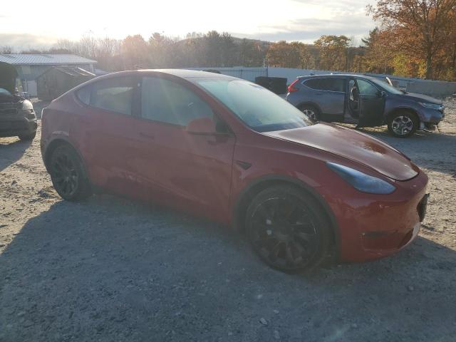 2021 TESLA MODEL Y - 5YJYGDEE2MF111974