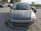 Lot #3308419292 2014 FORD ESCAPE SE