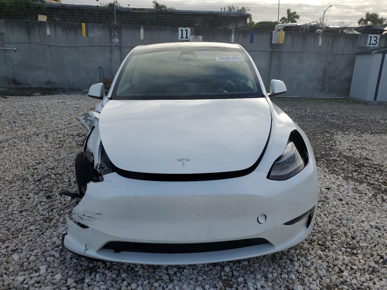 Lot #3309352977 2023 TESLA MODEL Y