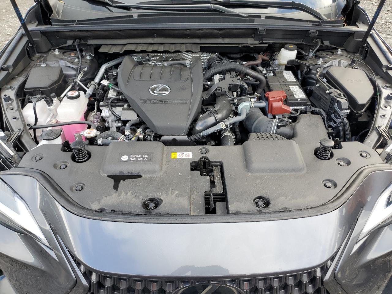 LEXUS NX 350 PREMIUM