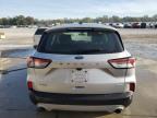 Lot #3292405267 2020 FORD ESCAPE S