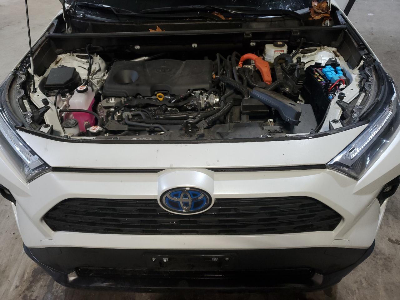 TOYOTA RAV4 XLE PREMIUM