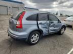 Lot #3309402975 2011 HONDA CR-V EX