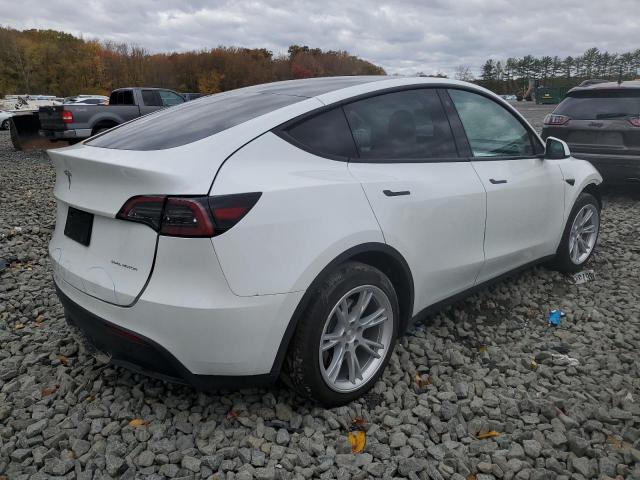 2023 TESLA MODEL Y #3296308426