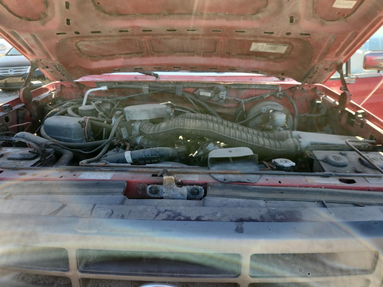 Lot #3311739717 1995 FORD F250