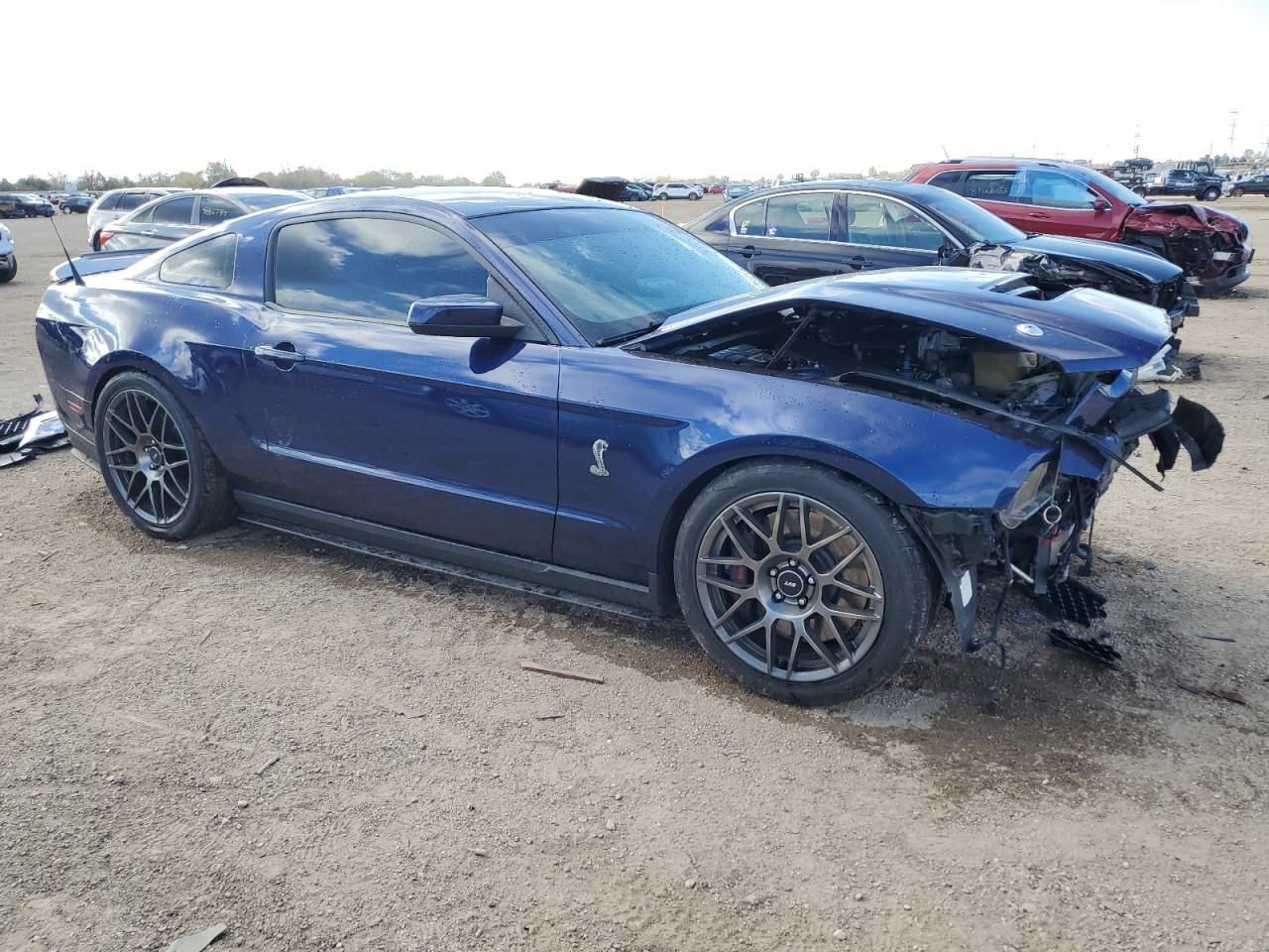 FORD MUSTANG SHELBY GT500