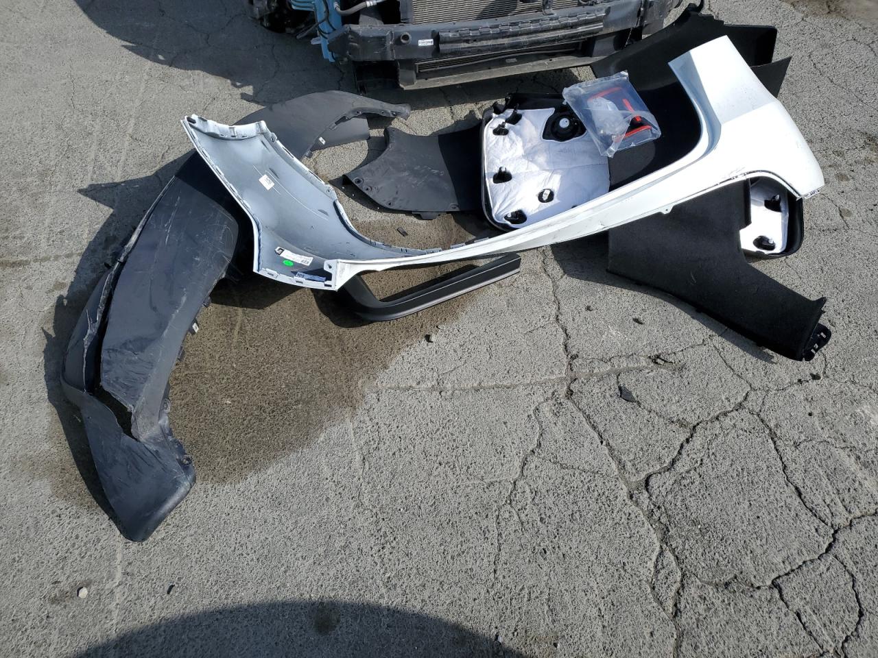 Lot #3302835912 2024 TESLA MODEL Y