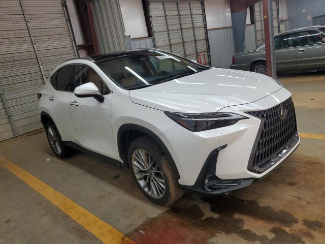 2023 LEXUS NX 350H #3297163560