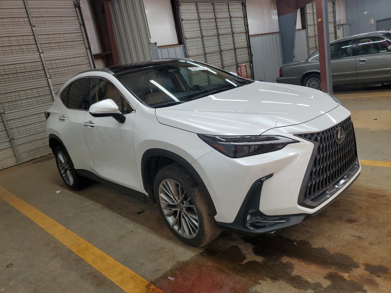 LEXUS NX 350H